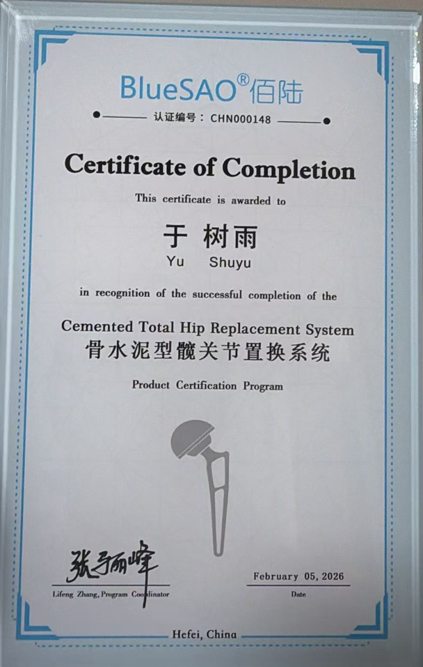 骨水泥型髋关节置换系统