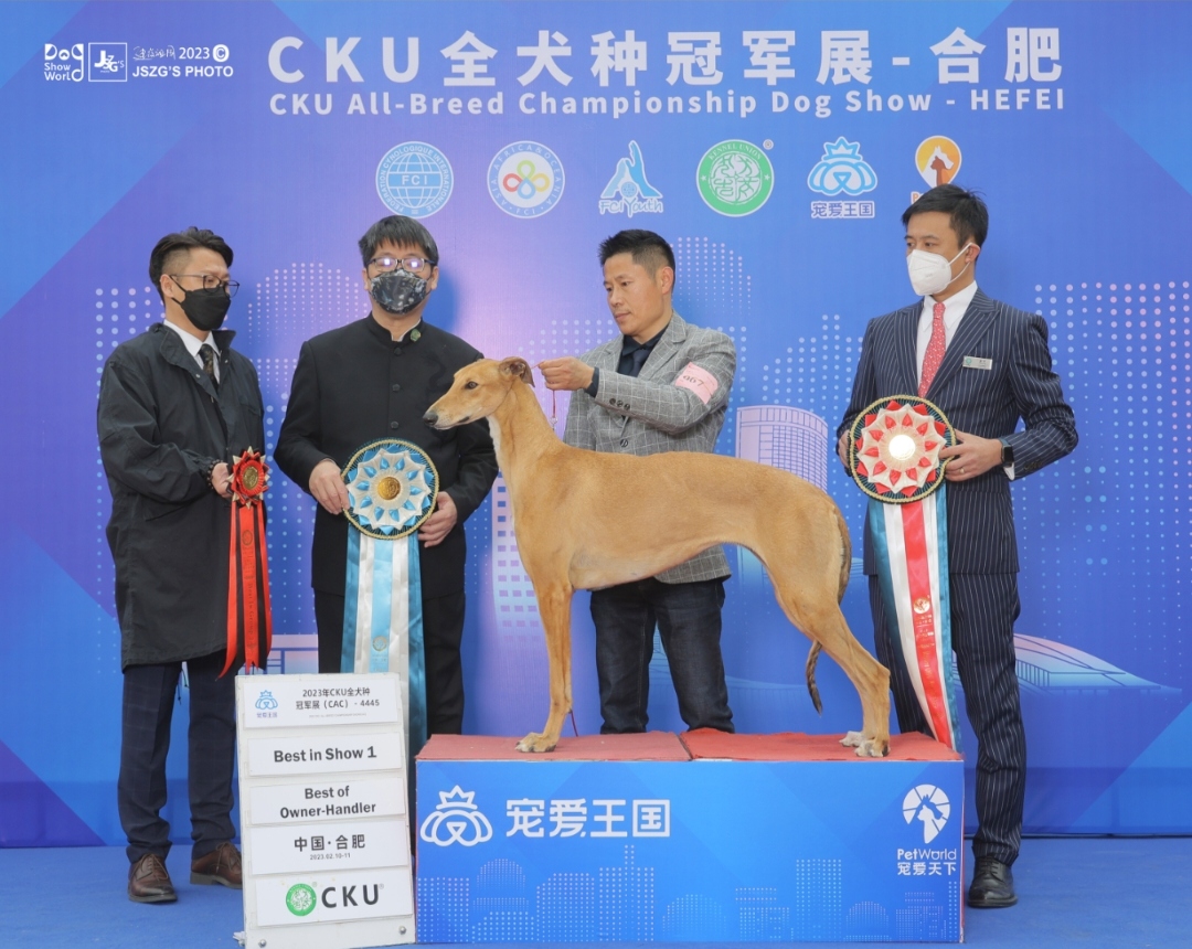 宠物友好
