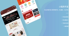 小程序开发