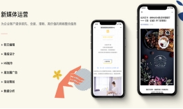 新媒体运营