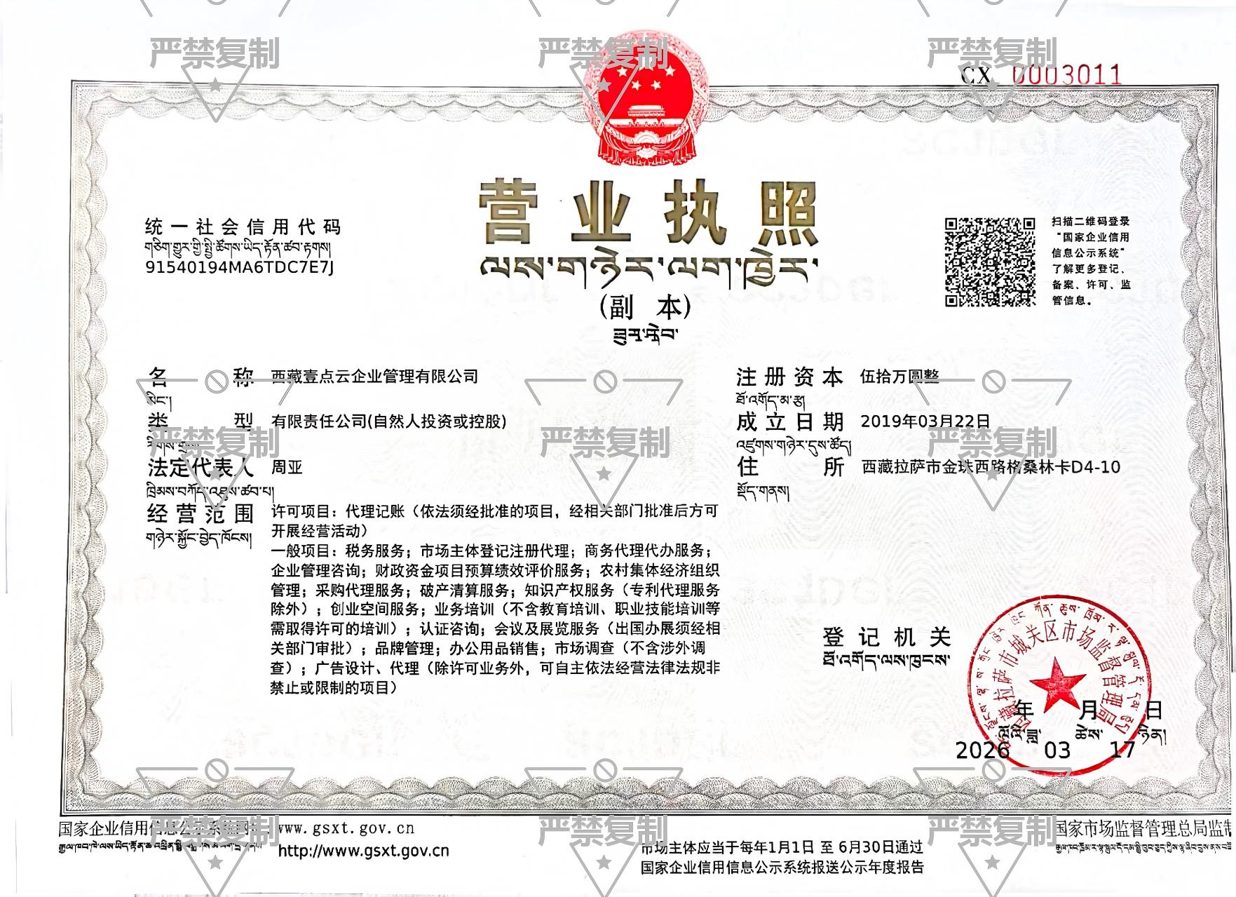 公司营业执照