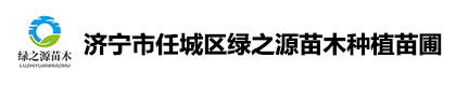 济宁市任城区绿之源苗木种植苗圃