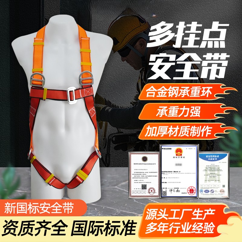 多挂点安全带