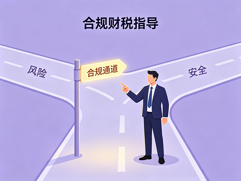 税务合规指导