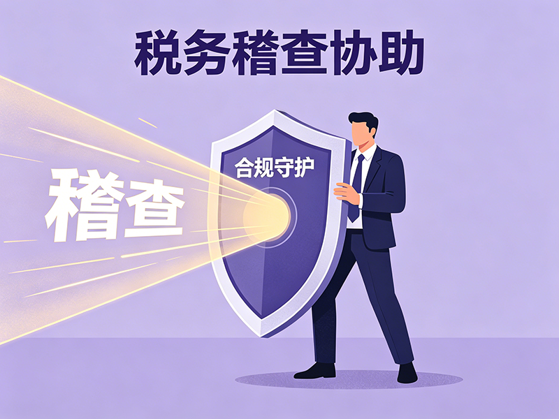 税务稽查协助