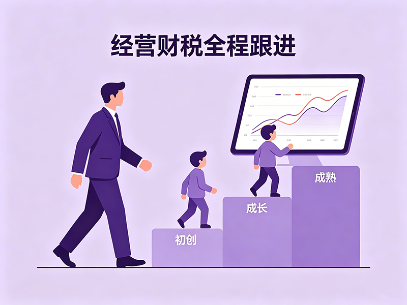 经营财税全程跟进