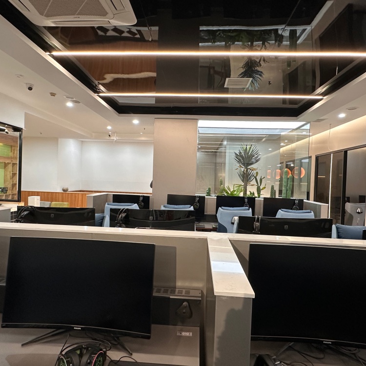 案例展示