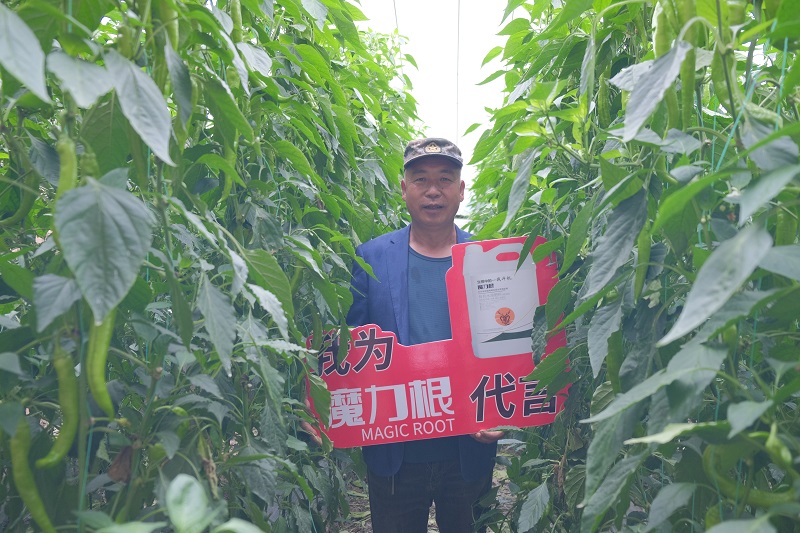 陈红为-魔力根代言