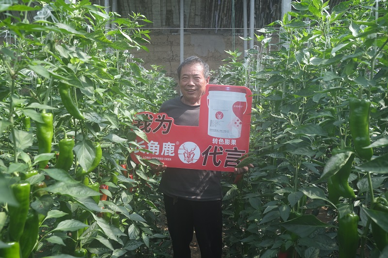 吴献玉-长角鹿代言