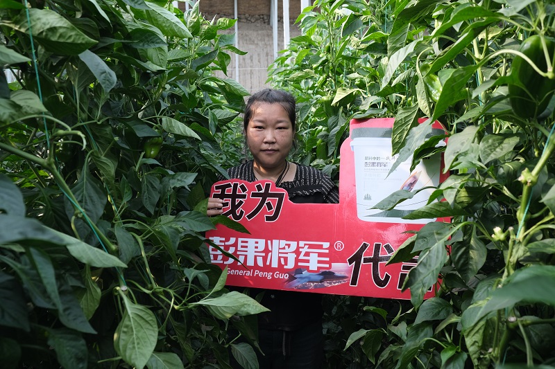 刘爱霞-彭果将军代言