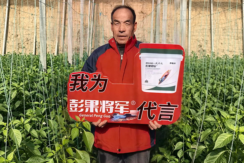 彭果将军代言