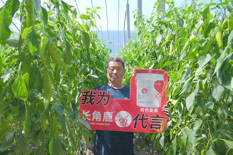 陈明同-长角鹿代言