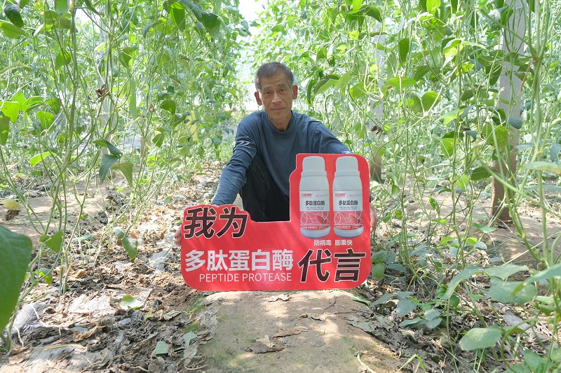 吴宗强-多肽蛋白酶代言