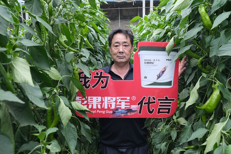 赵文山-彭果将军代言