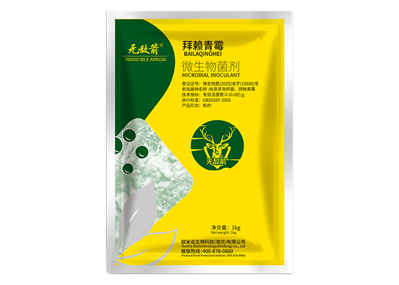 无敌箭-拜赖青霉