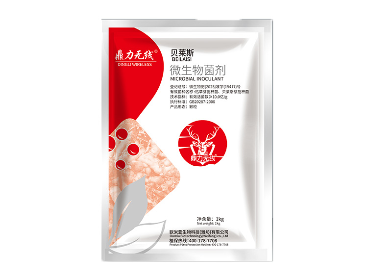 鼎力无线--贝莱斯