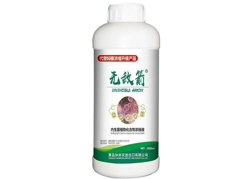 无敌箭