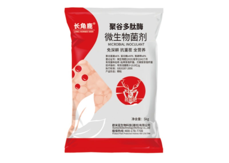 聚谷多肽酶微生物菌剂