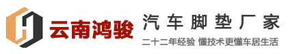 云南鸿骏科技有限公司