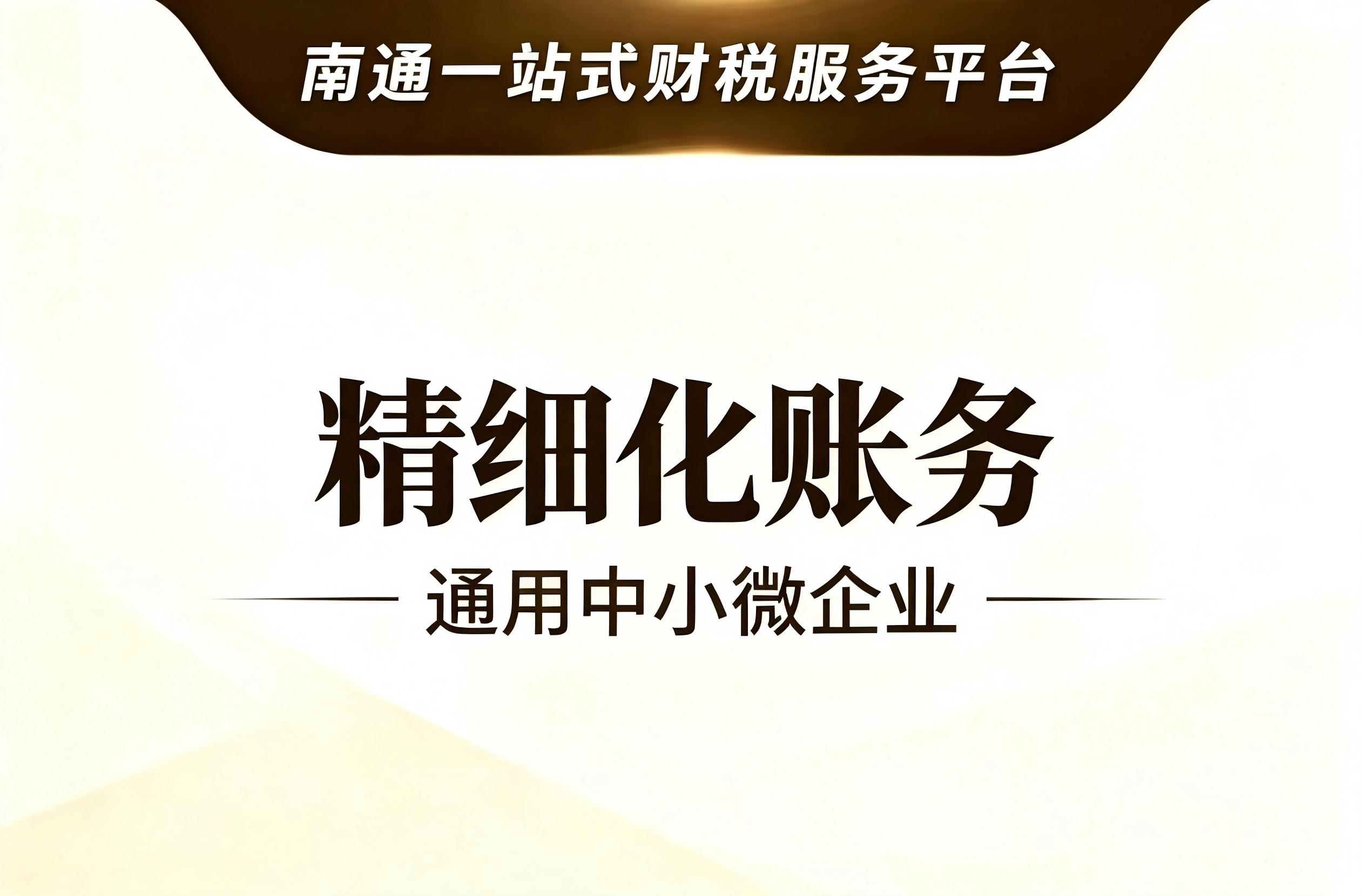 精细化账务财税服务（通用中小微企业）