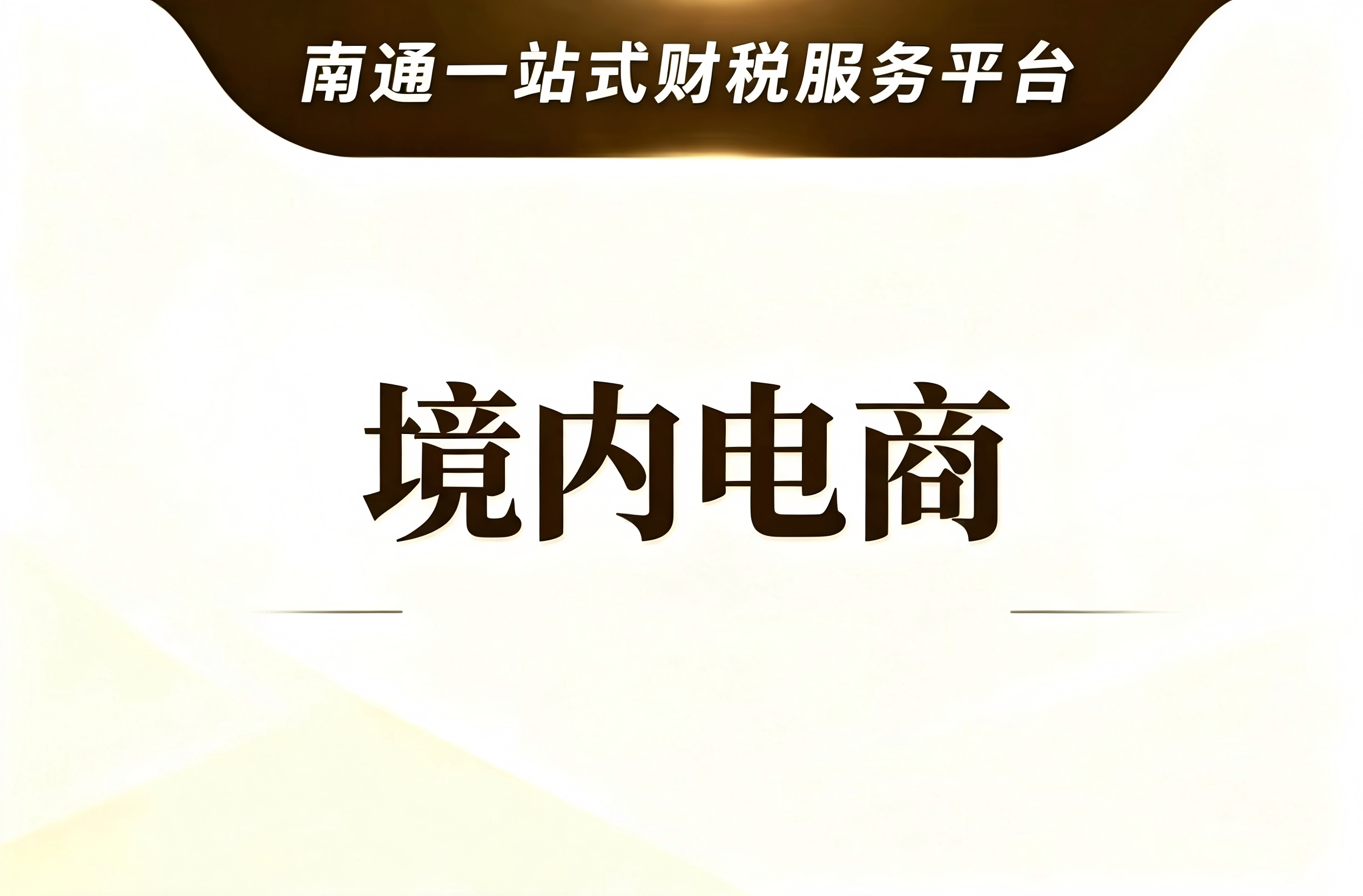 境内电商财税服务