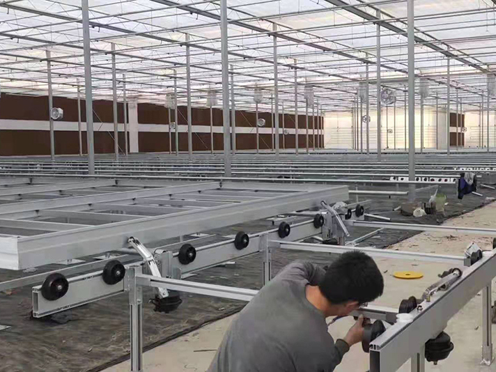 温室移动育苗床案例