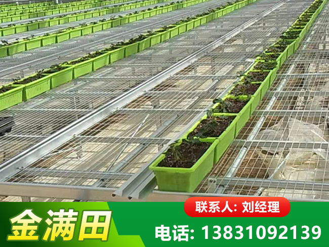 温室移动育苗床