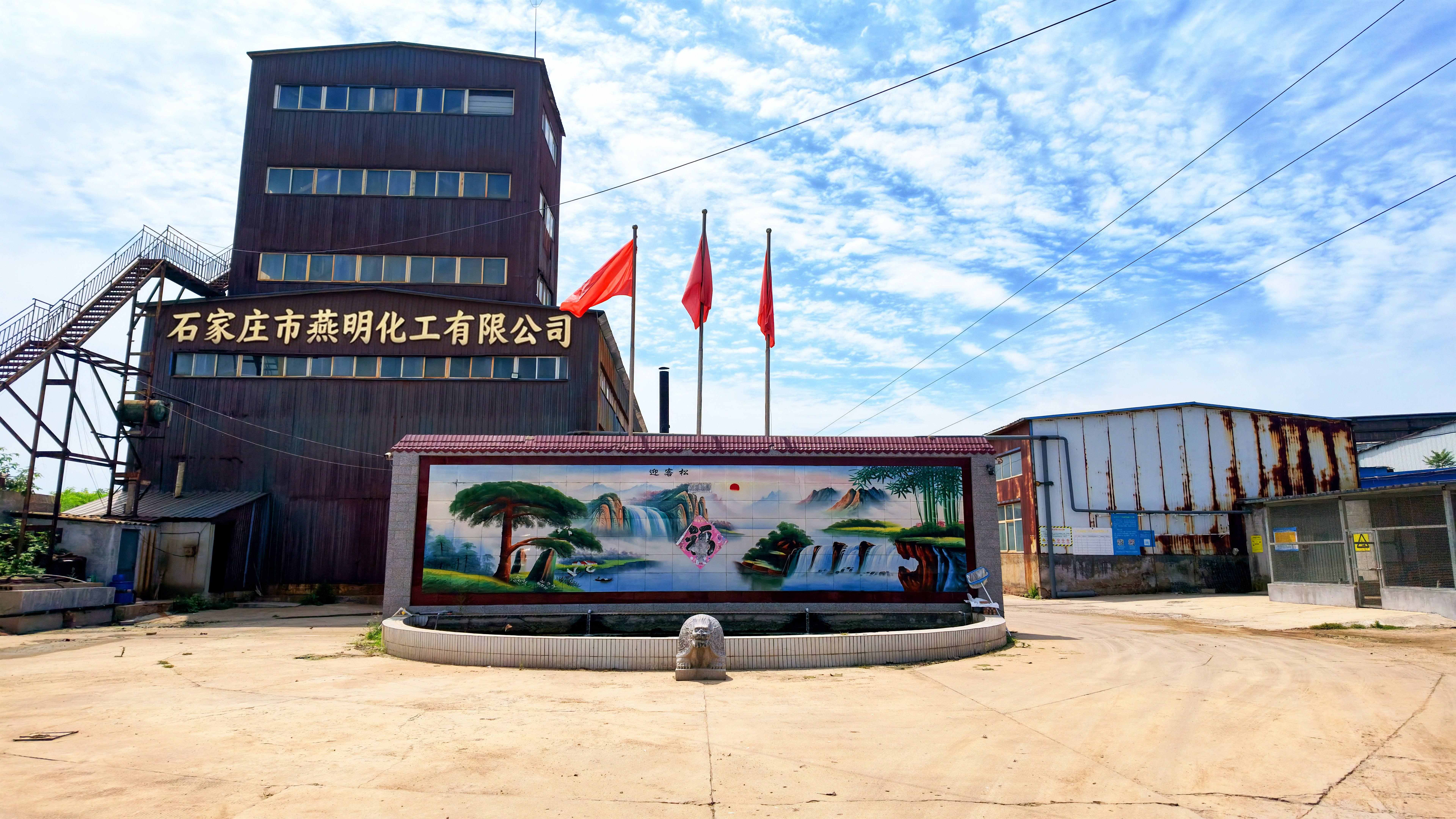 公司环境