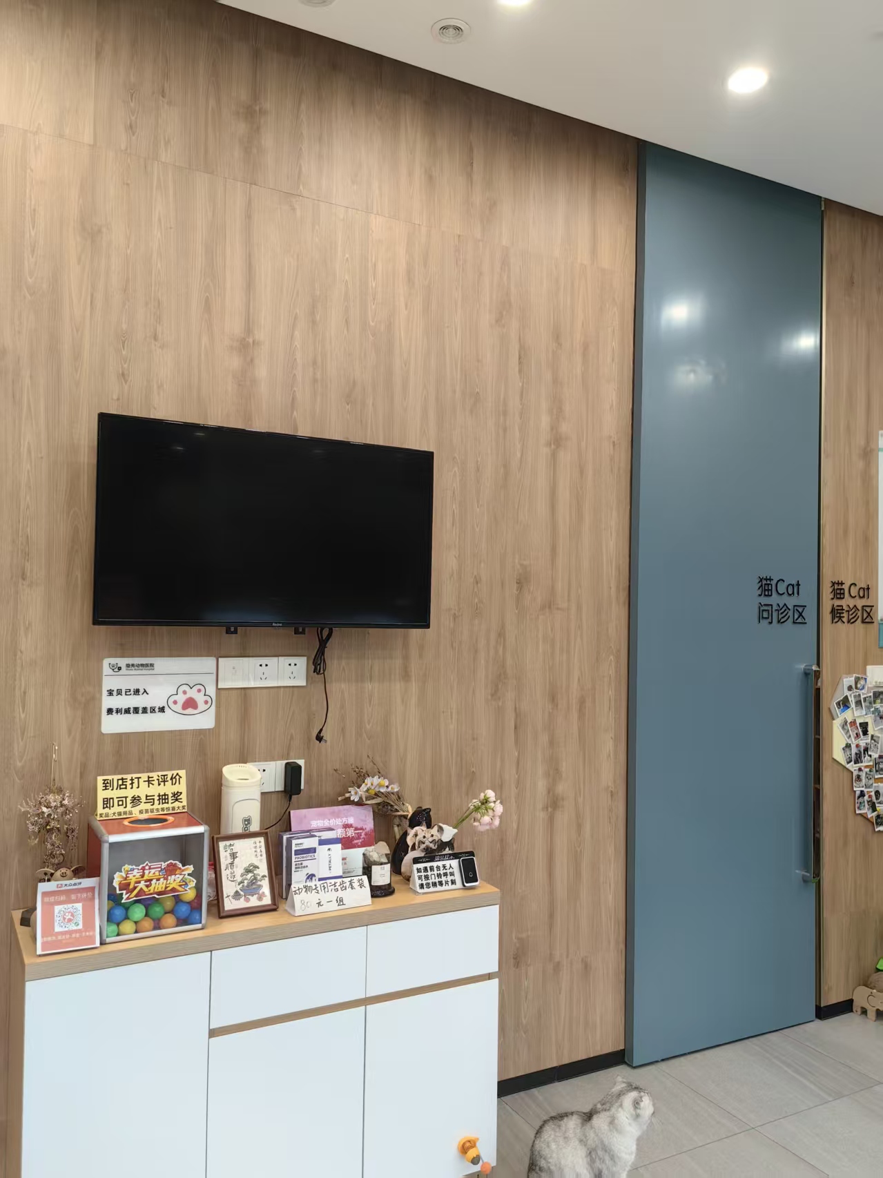 环境展示