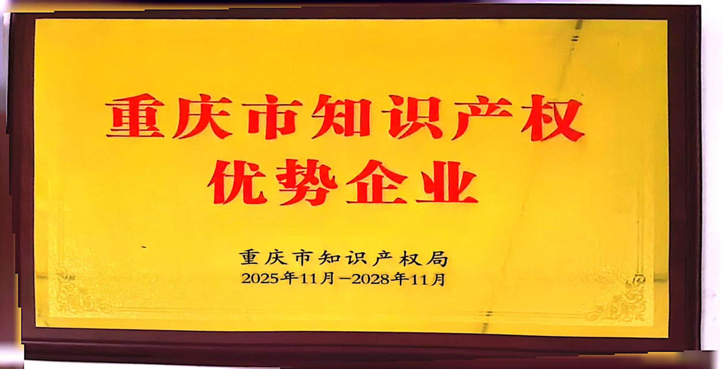 重庆市知识产权优势企业