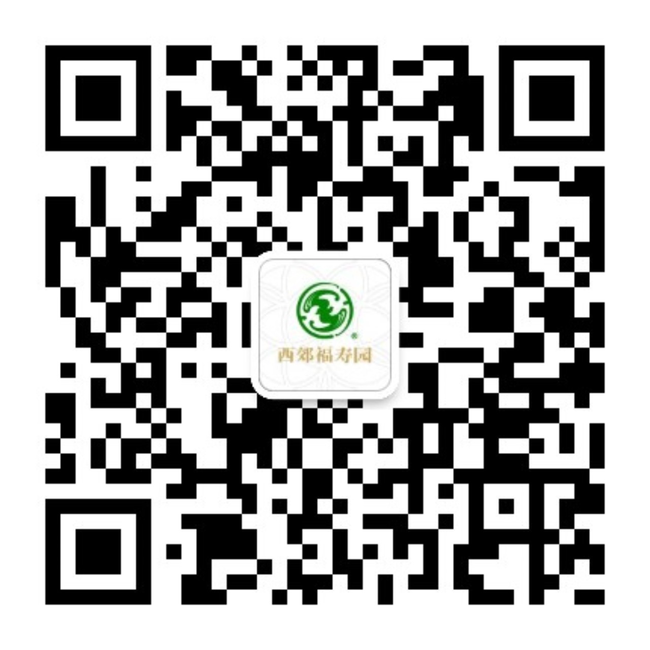 扫码咨询