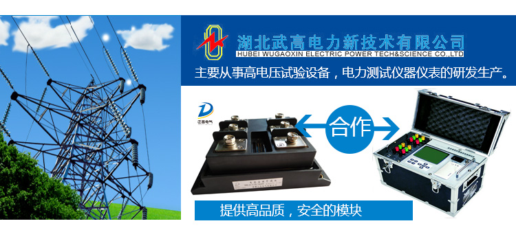 湖北武高电力新技术有限公司