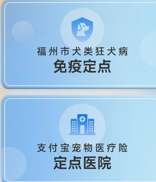 资质展示
