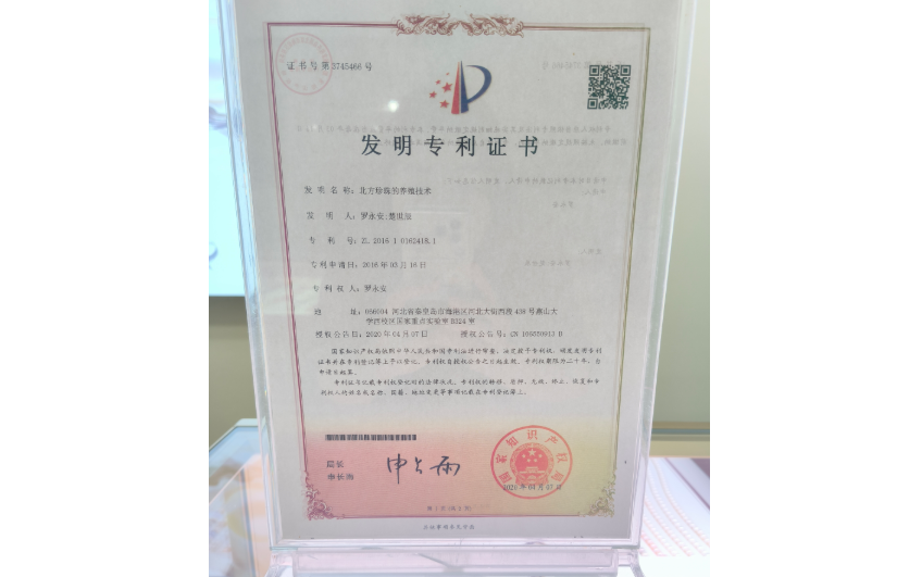 荣誉资质