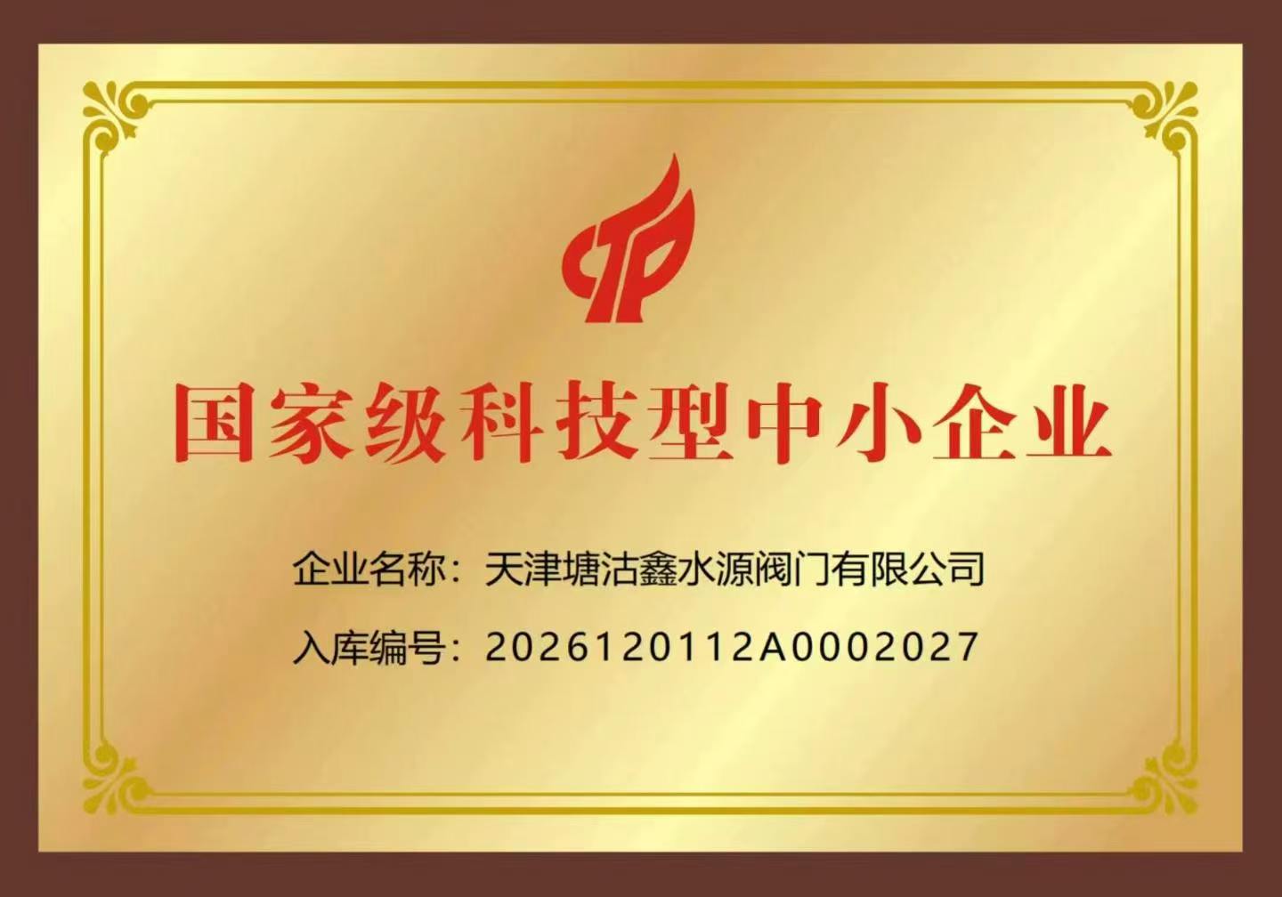 国家级科技型中小企业