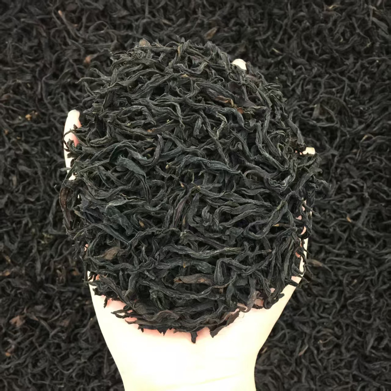 蜜桃香金牡丹古树红茶