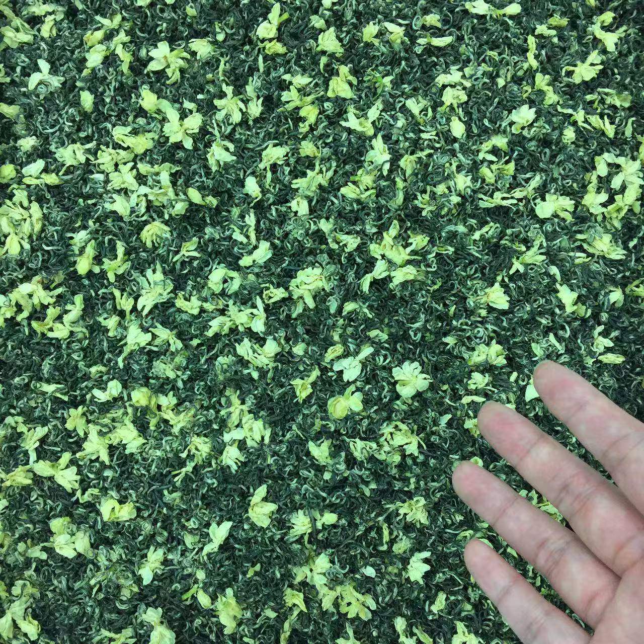 八窨浓香细白卷飘茉莉花茶