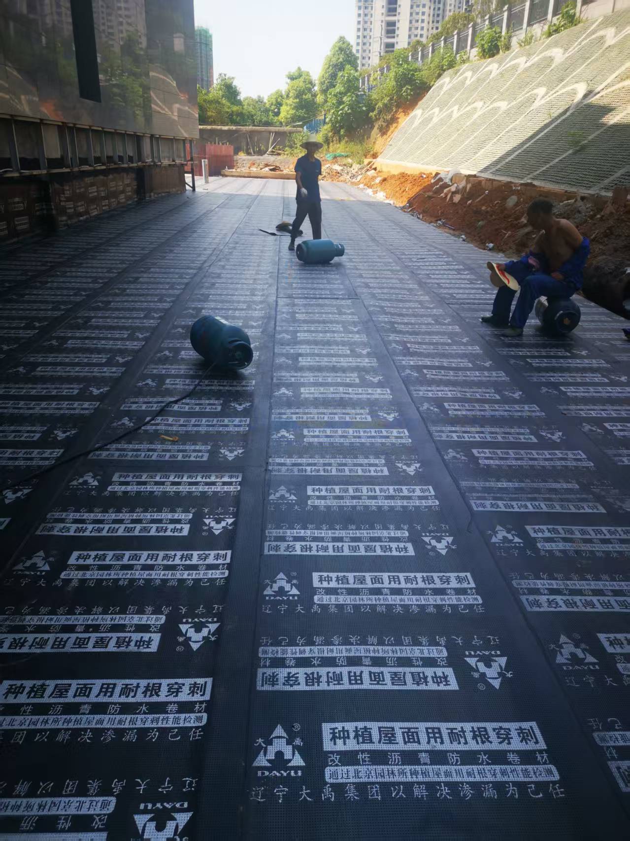 彩色路面