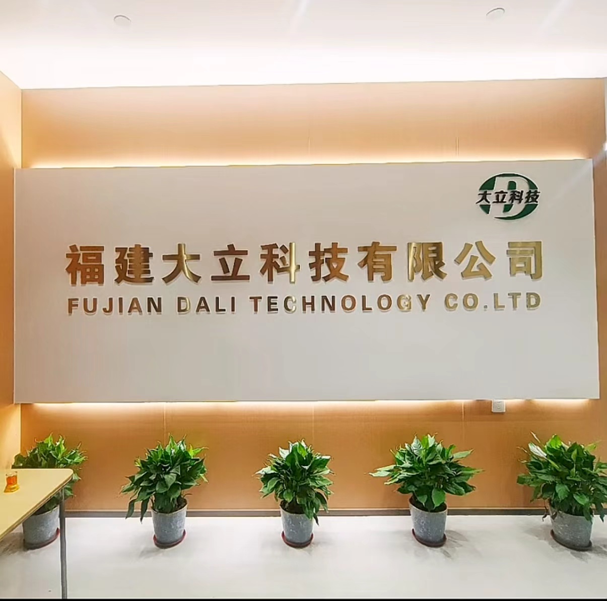 福建大立科技有限公司