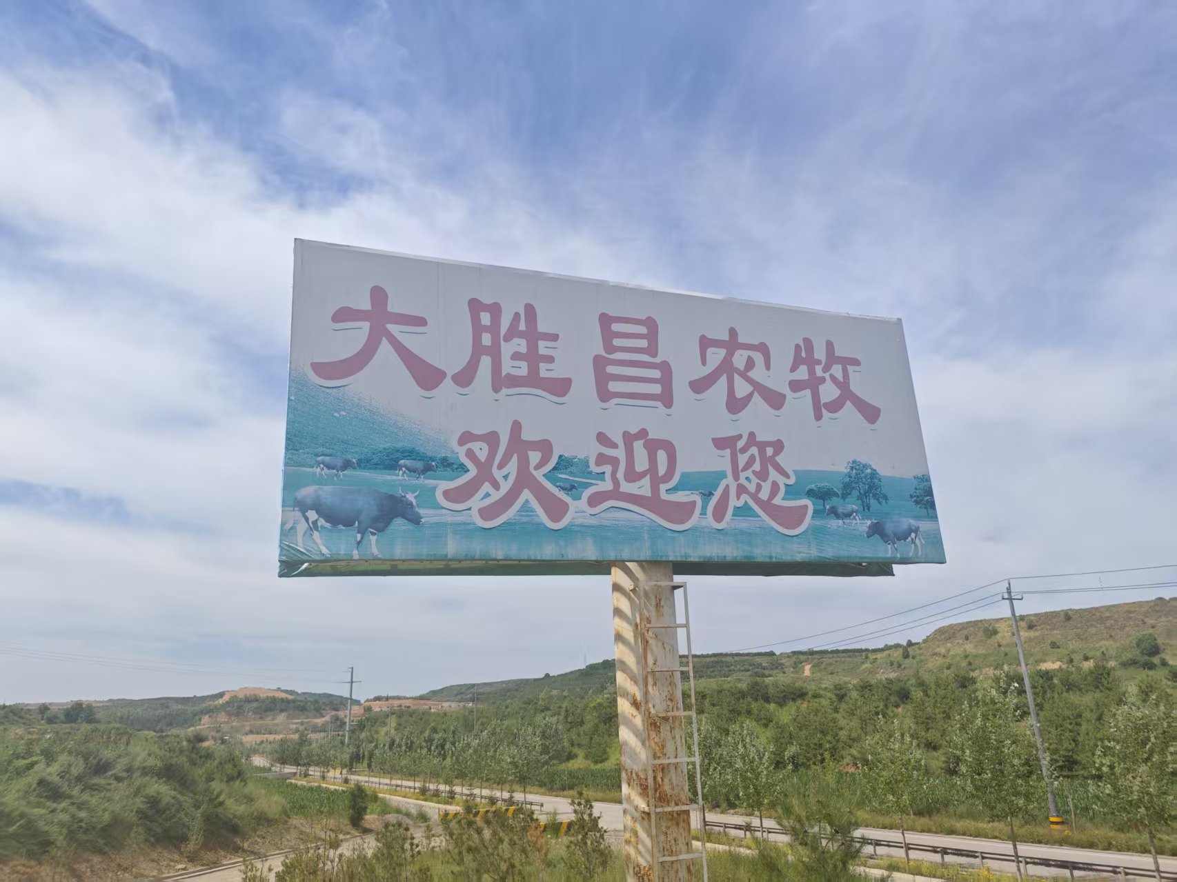肉牛养殖场