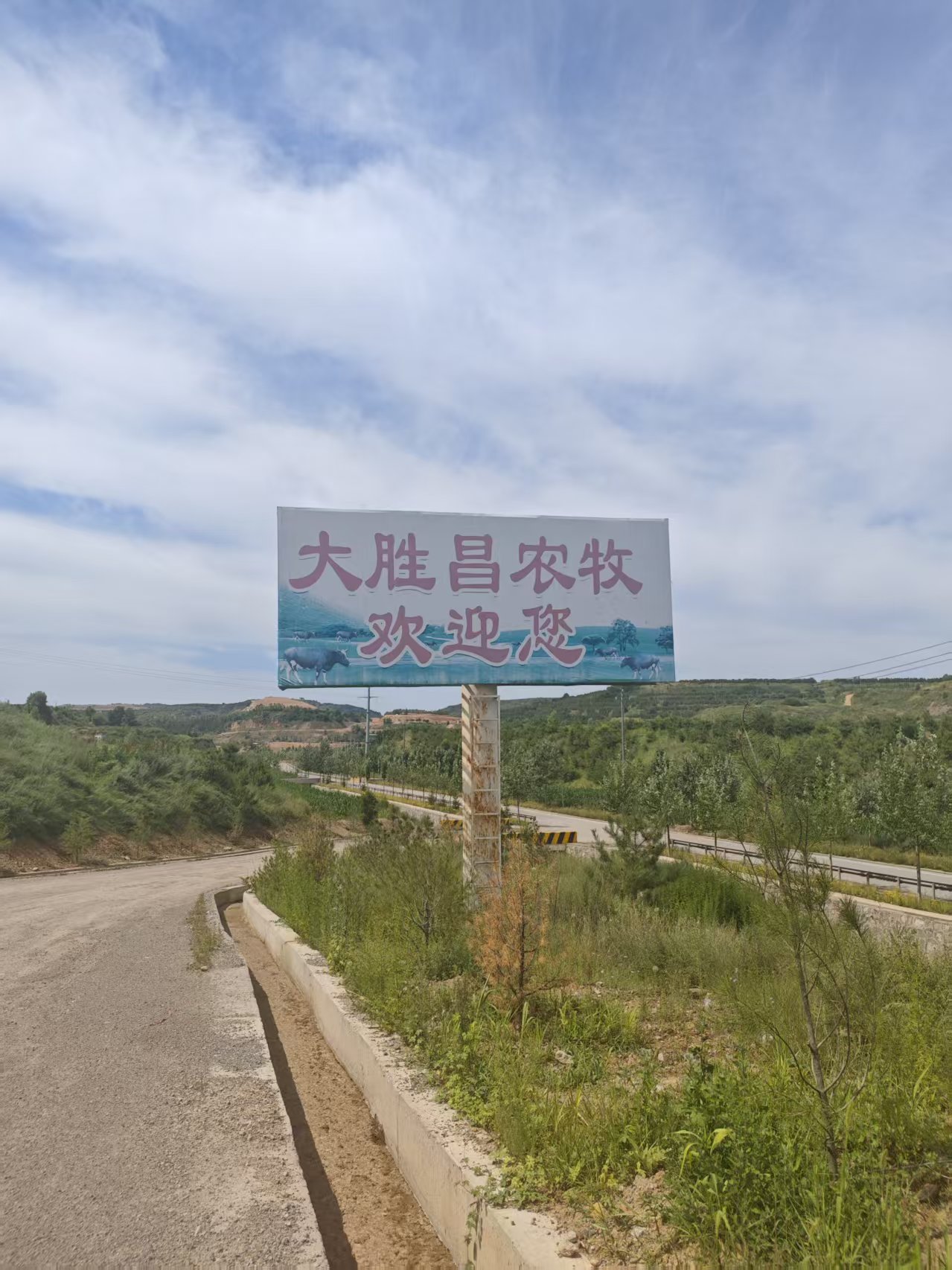 肉牛养殖场