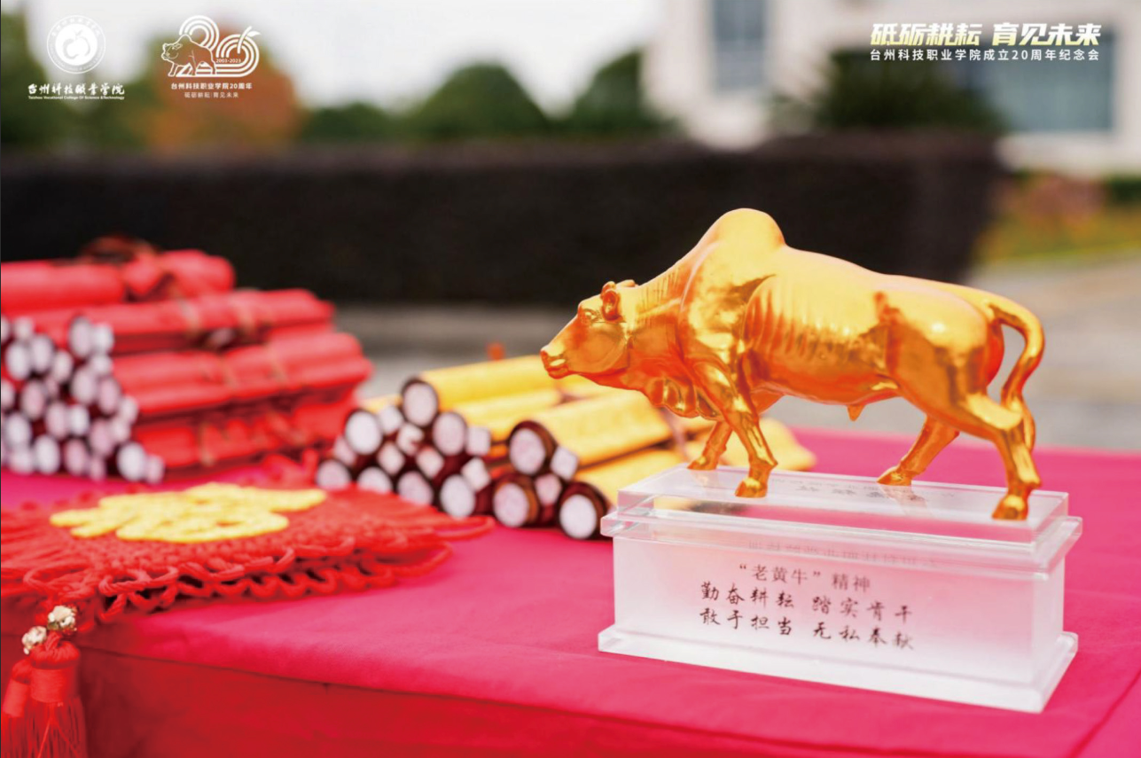 台州科技职业学院20周年庆典美陈