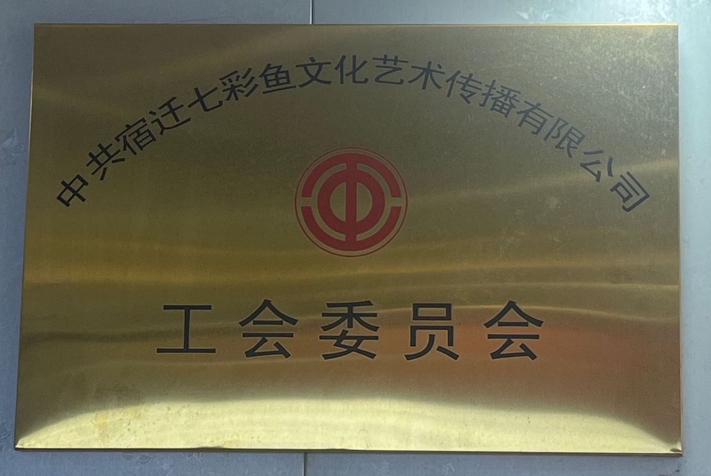 中共宿迁七彩鱼文化艺术传播有限公司工会委员会
