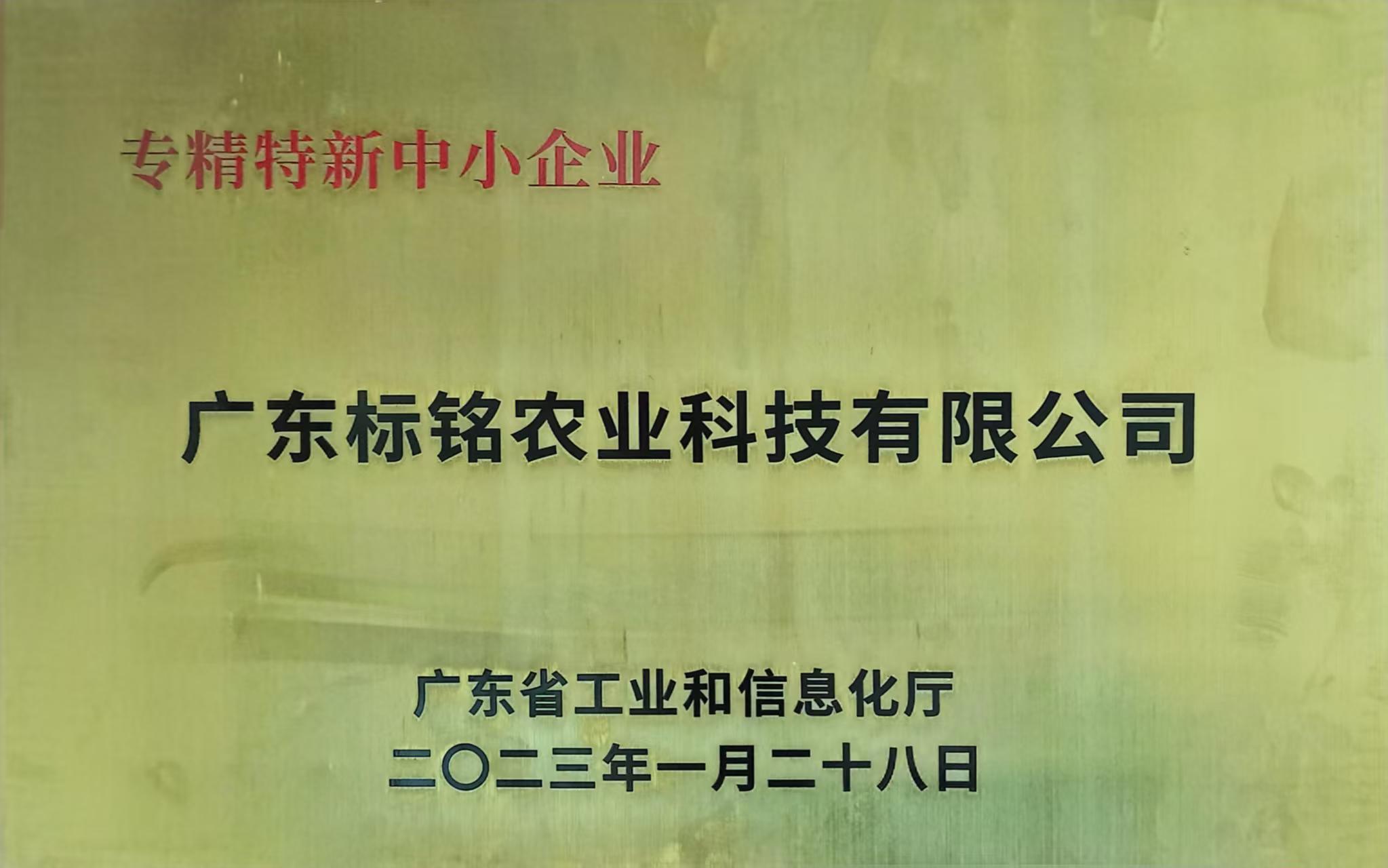 荣誉资质