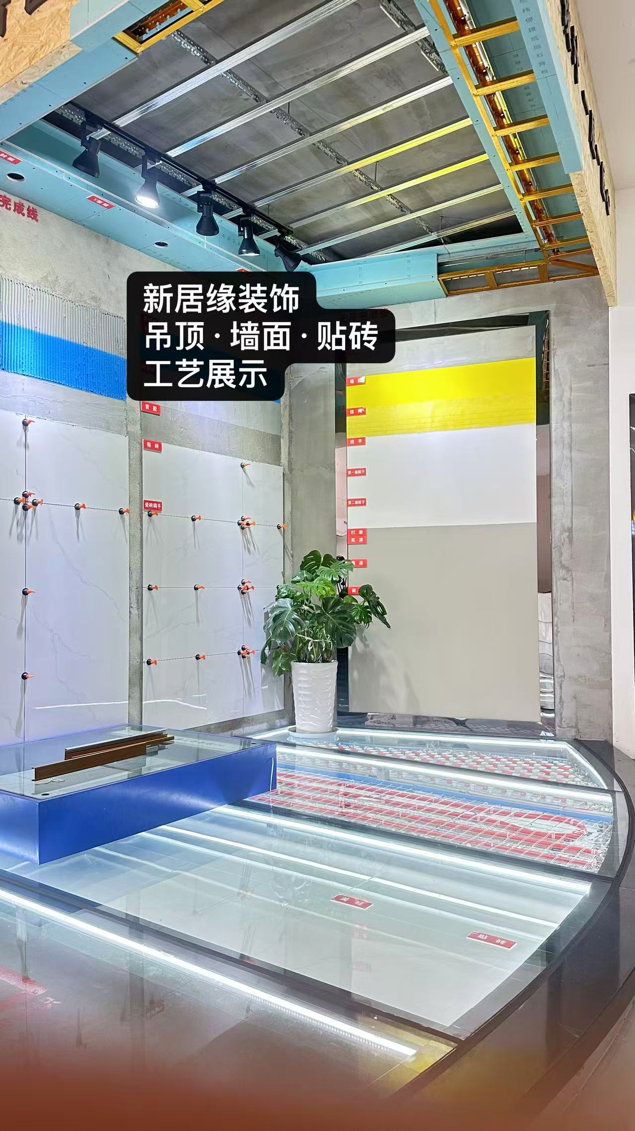 展示