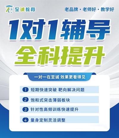 1对1全科定制辅导
