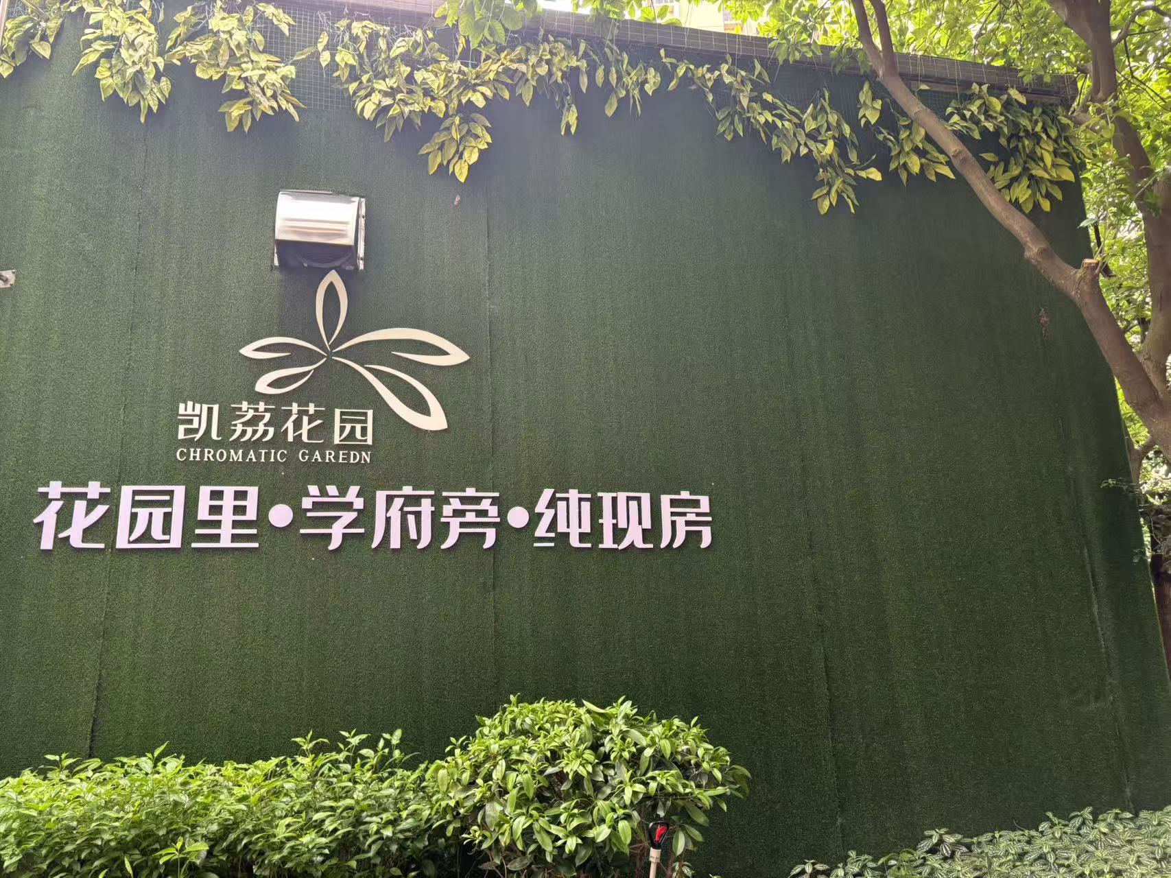 PVC字