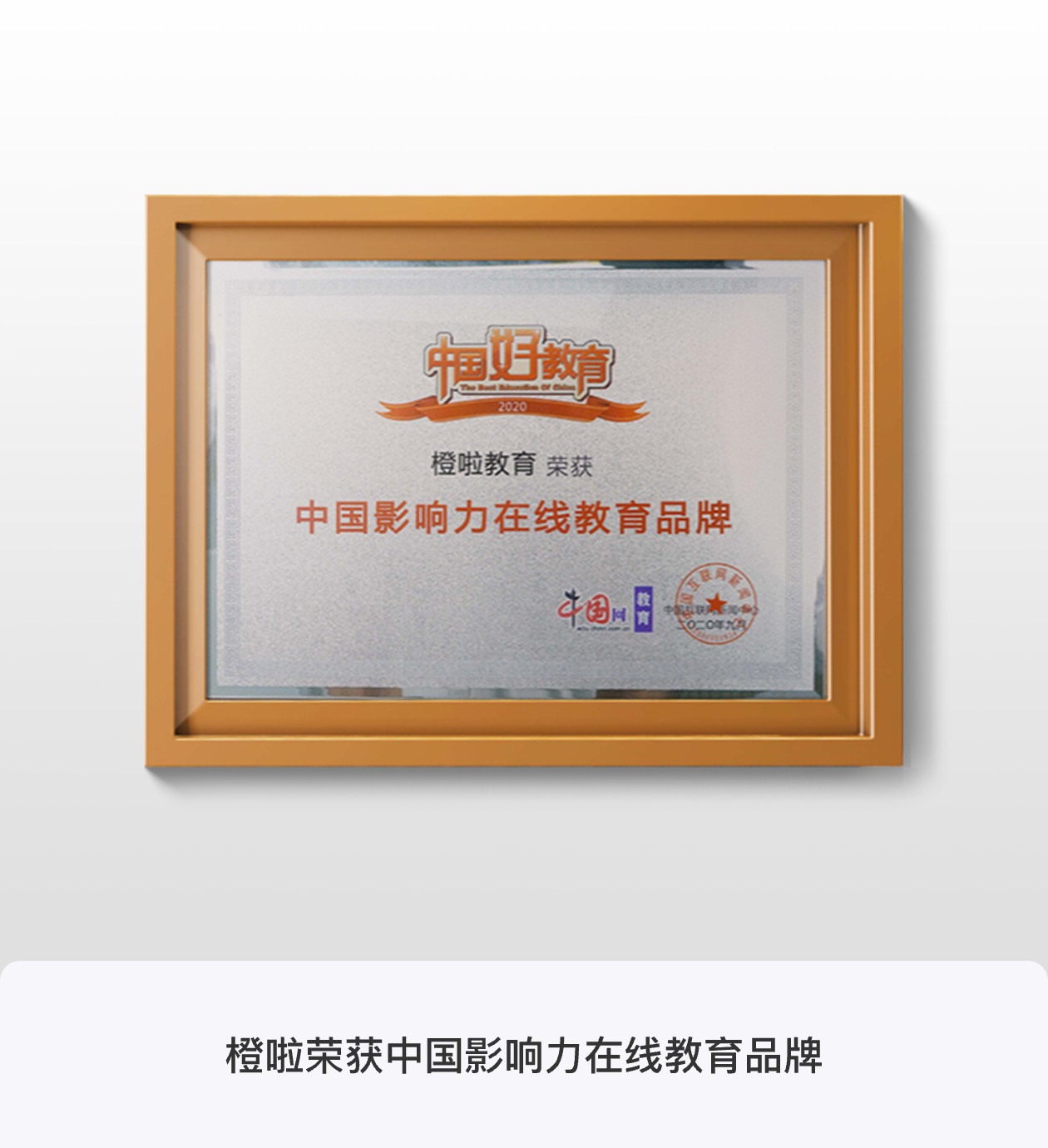 中国影响力在线教育品牌