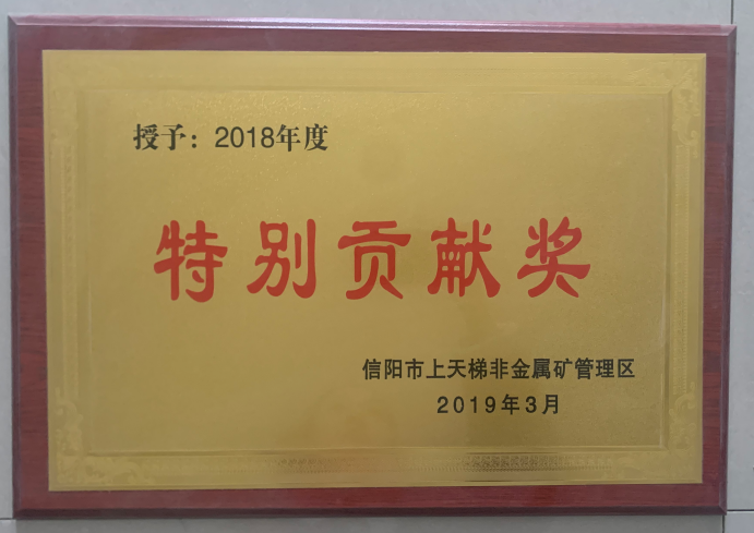 特别贡献奖