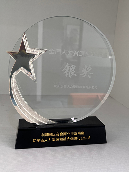 全国人力资源创新大赛银奖